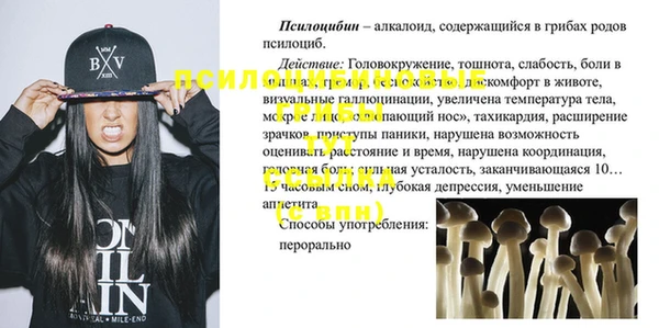 мдпв Мегион