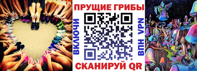 Галлюциногенные грибы Magic Shrooms  Купить где  Гатчина 